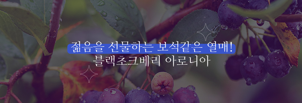 젊음을 선물하는 보석같은 열매, 블랙초크베리 아로니아