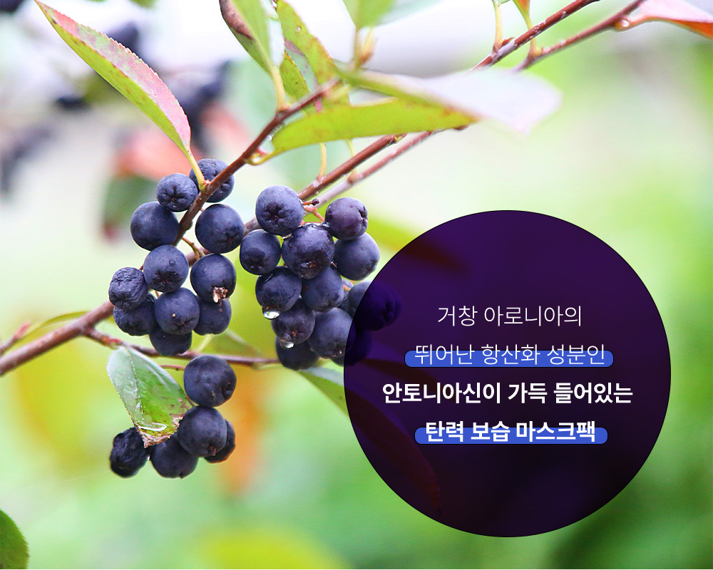 거창 아로니아의 뛰어난 항산화 성분인 안토니아신이 가득 들어있는 탄력 보습 마스크팩