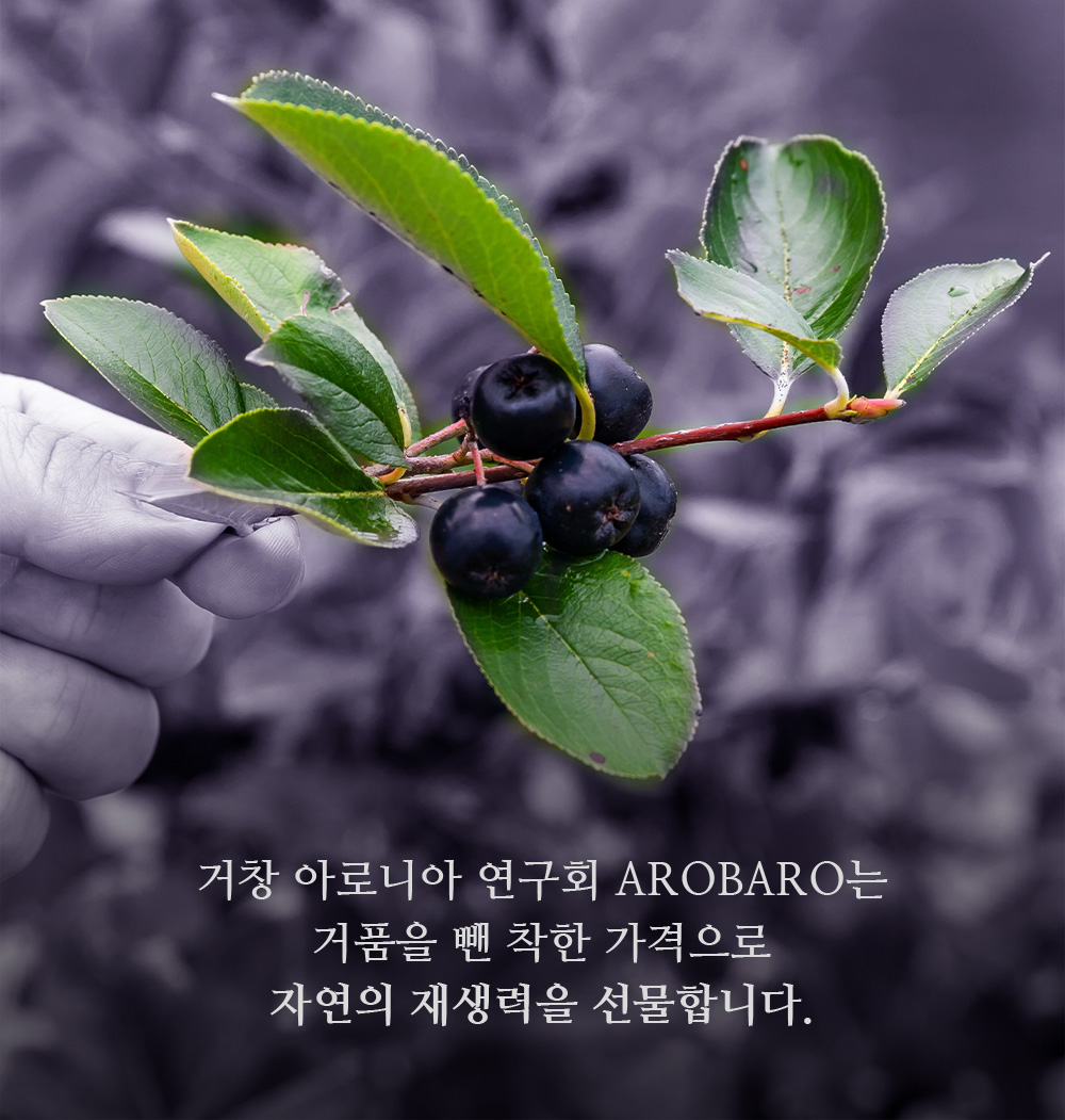 거창 아로니아 연구회 AROBARO는 거품을 뺀 착한 가격으로 자연의 재생력을 선물합니다.