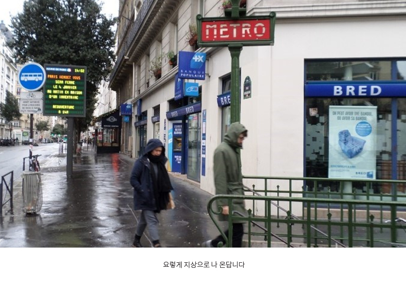 요렇게 지상으로 나 온답니다.